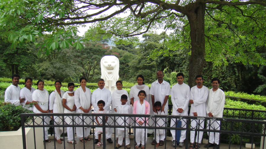 13 Divine Souls